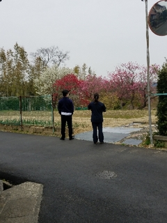 20180326233402707.jpg