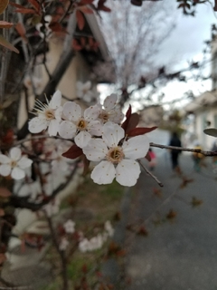 20180326233711049.jpg